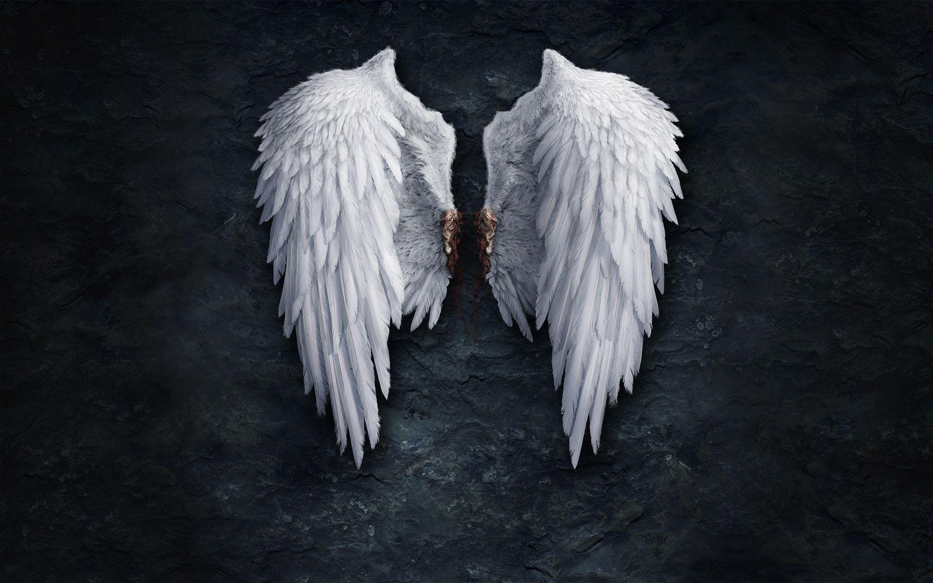 1920x1200 Angel Wallpaper