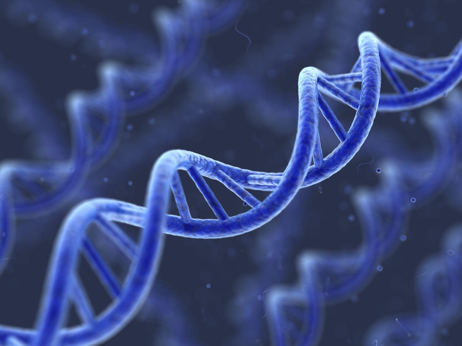 1600x1200 Excellent HD Genetic DNA Wallpaper