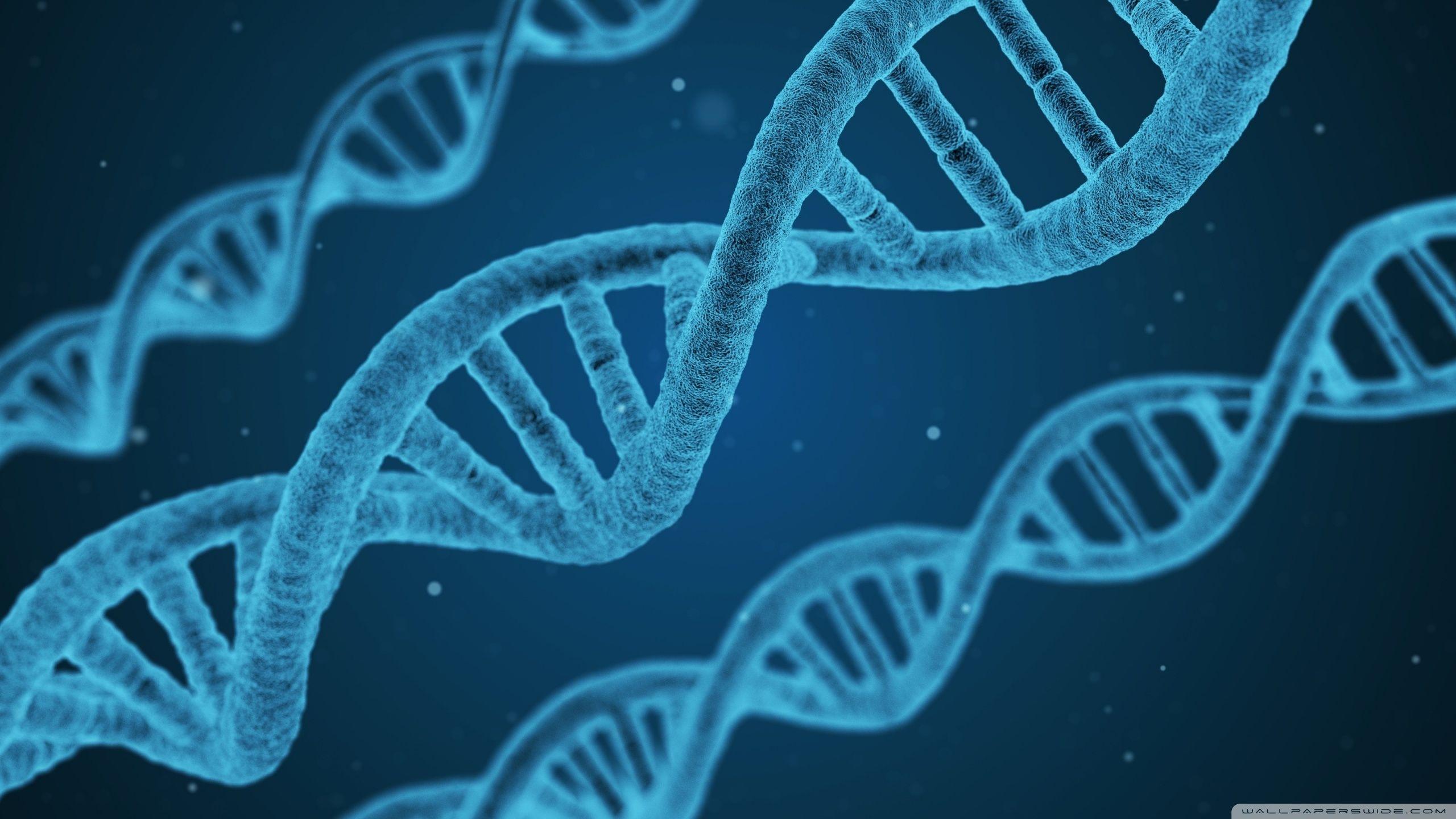 2560x1440 DNA Wallpaper High Resolution, 2560x1440 px Inn Arts