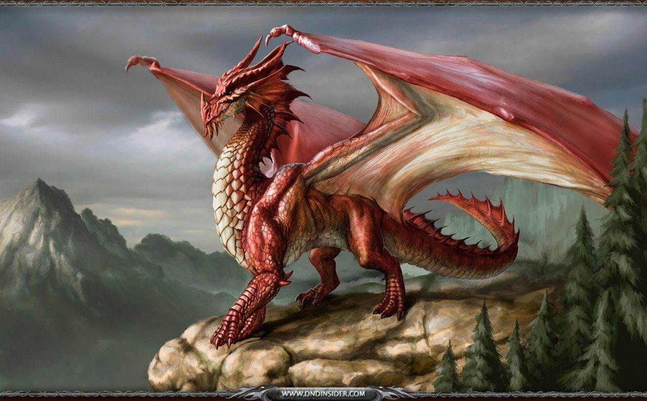 1280x794 Dragon Wallpaper 83. Aku Iso Blog