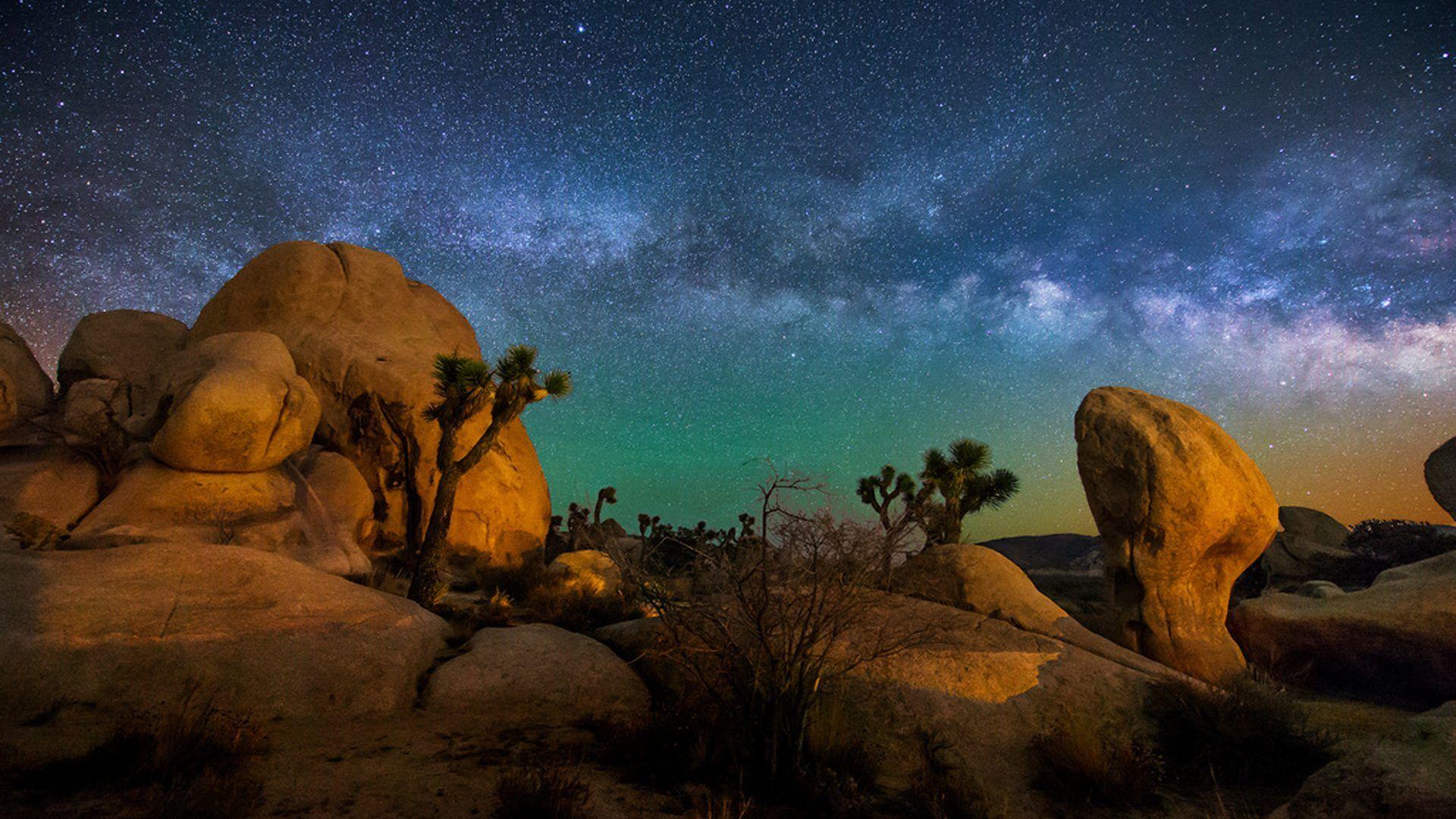 Joshua Tree Wallpapers Top Free Joshua Tree Backgrounds WallpaperAccess