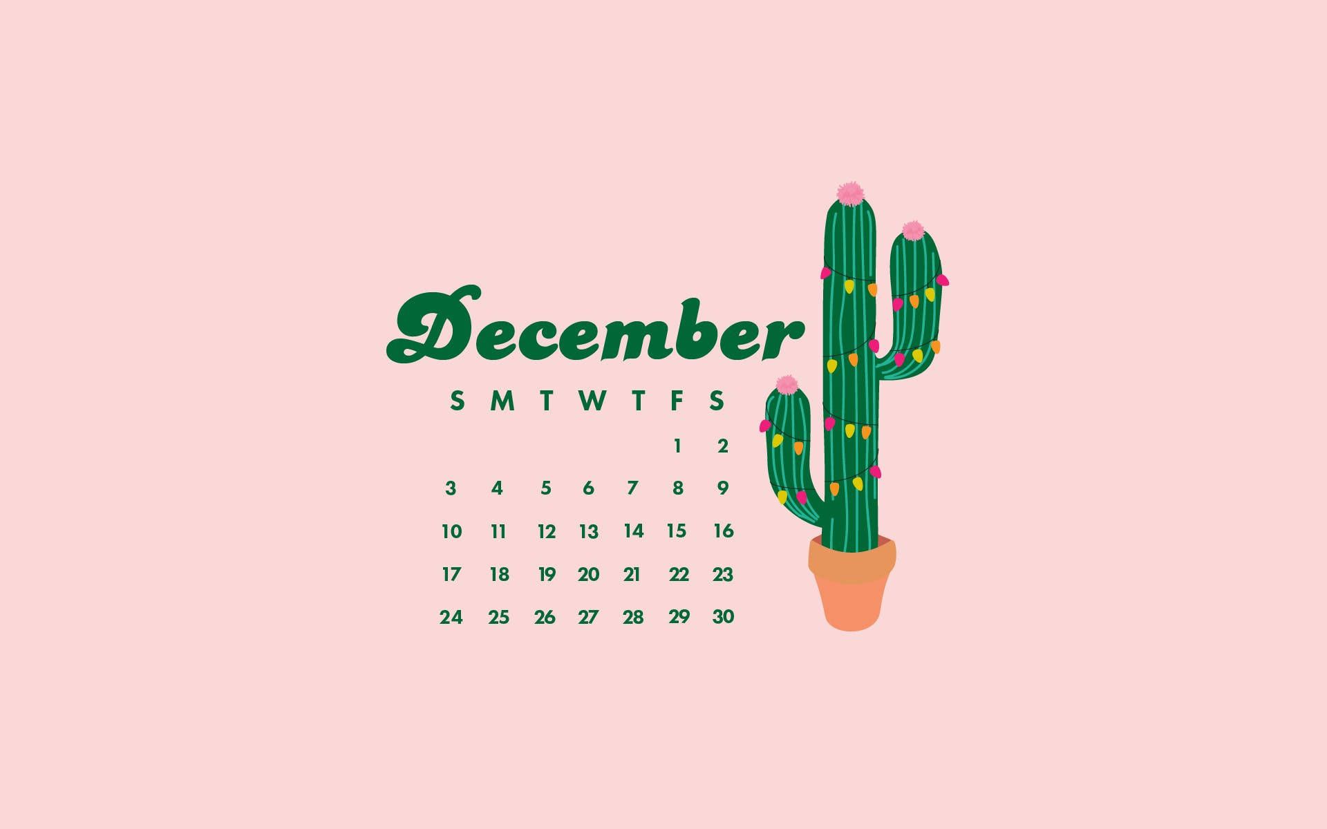 1920x1200 December Pink Cactus Calendar Wallpaper