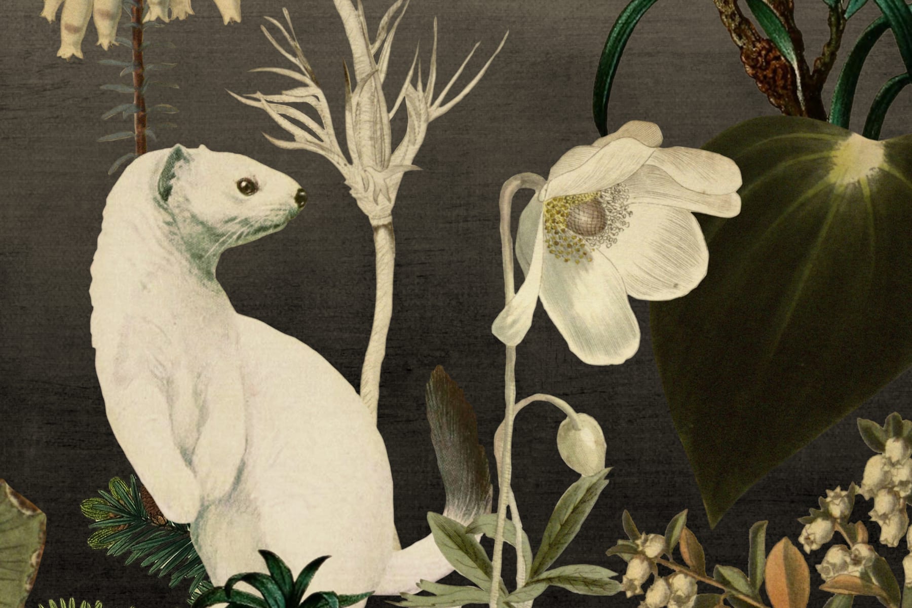 1800x1200 Wallpaper Hole Murals