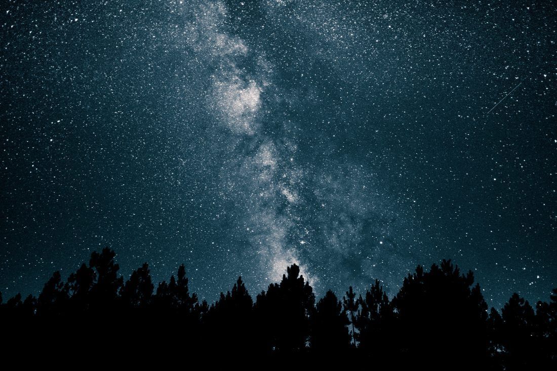 1100x733 Stars Over Forest Royalty Free