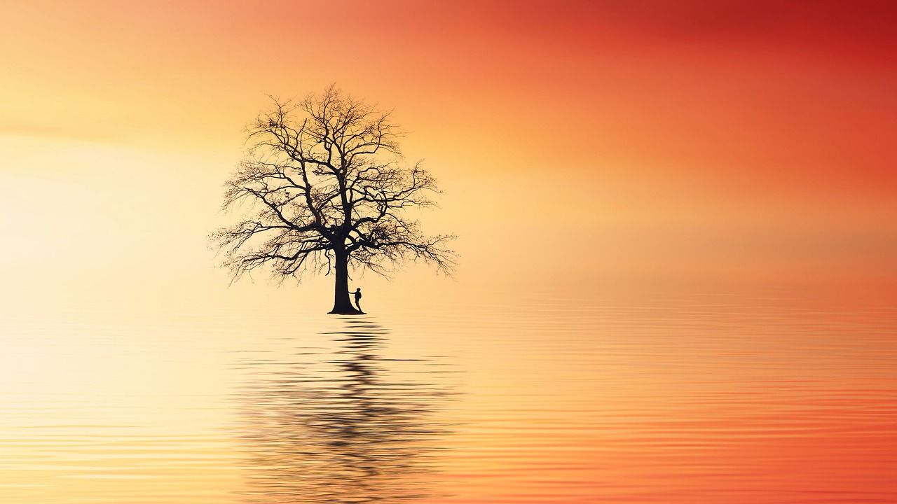 1280x720 Desktop Wallpaper Image