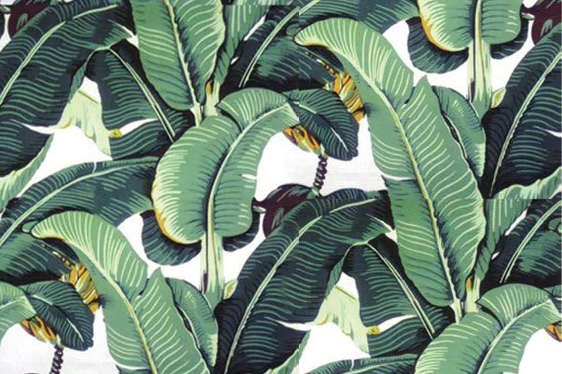 1140x760 Tropical Leaf Pattern. Palm leaf wallpaper, Plant