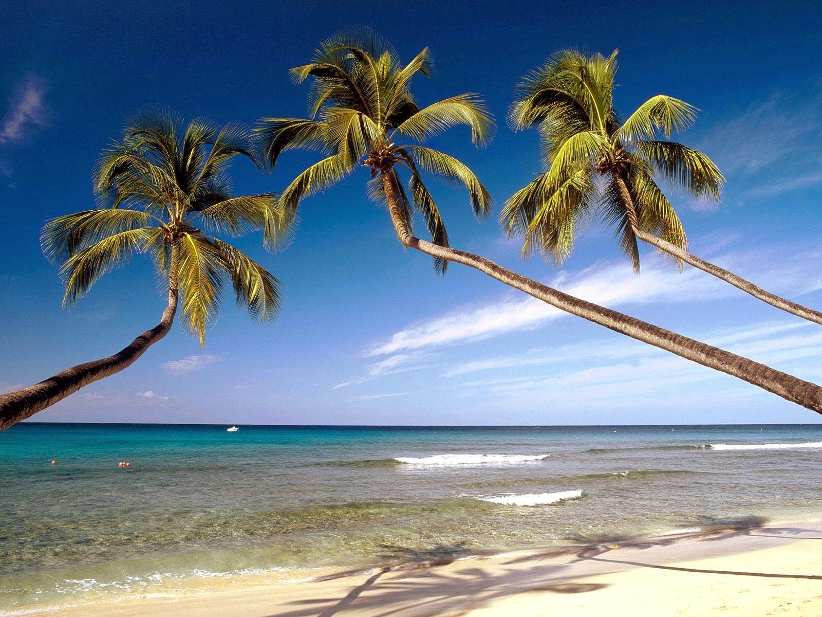1600x1200 Beaches Wallpaper
