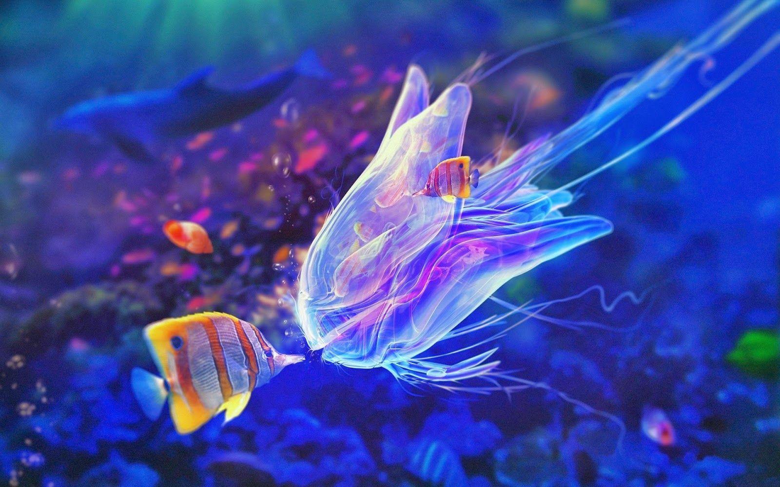 Colorful Fish Wallpapers - Top Free Colorful Fish Backgrounds -  WallpaperAccess