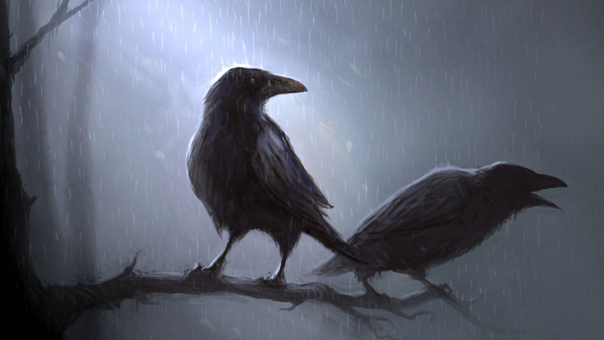 Crow Art Wallpapers Top Free Crow Art Backgrounds WallpaperAccess