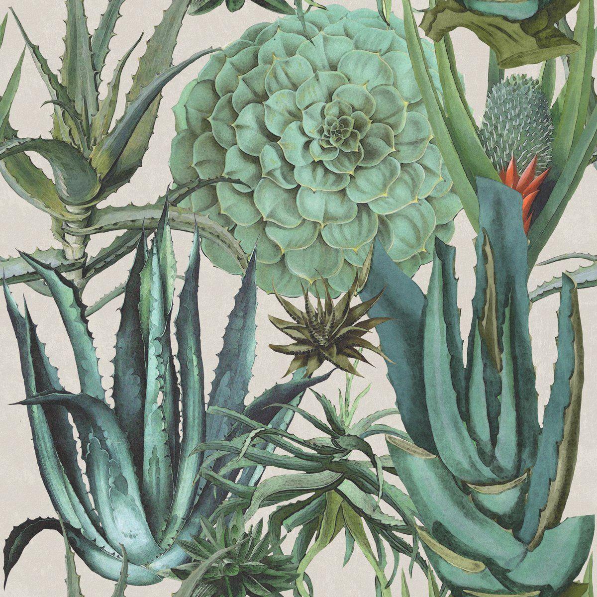 1200x1200 Succulents Wallpaper