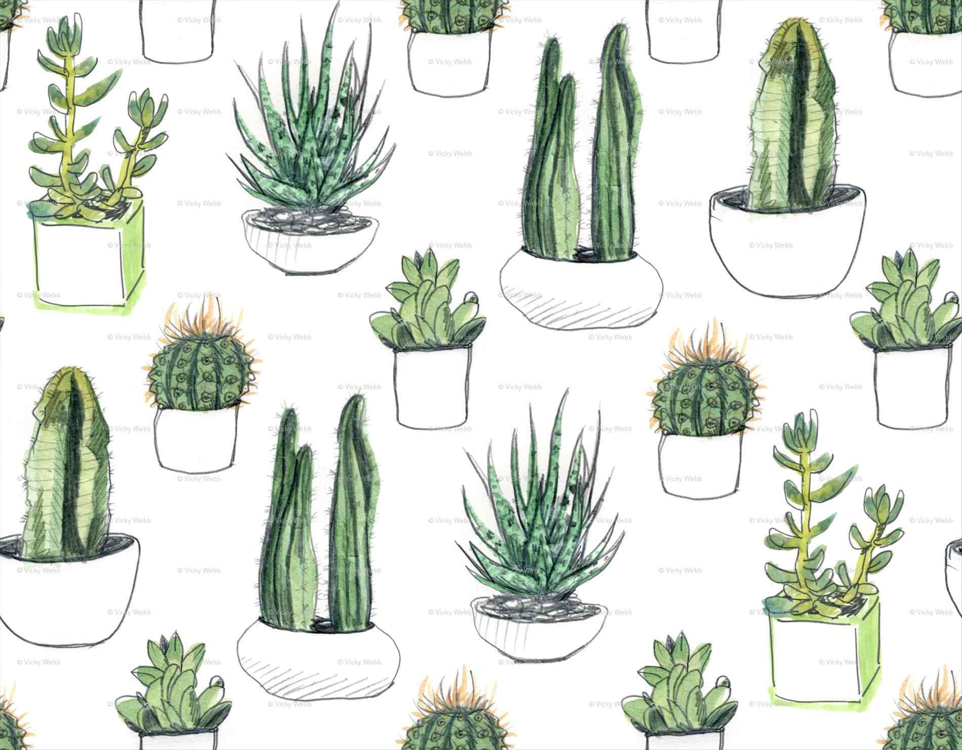 1900x1480 Drawn Wallpaper succulent Free Clip Art stock