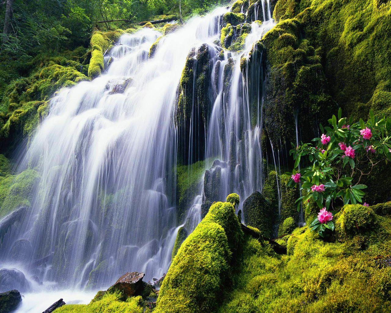 Exotic Water Wallpapers - Top Free Exotic Water Backgrounds