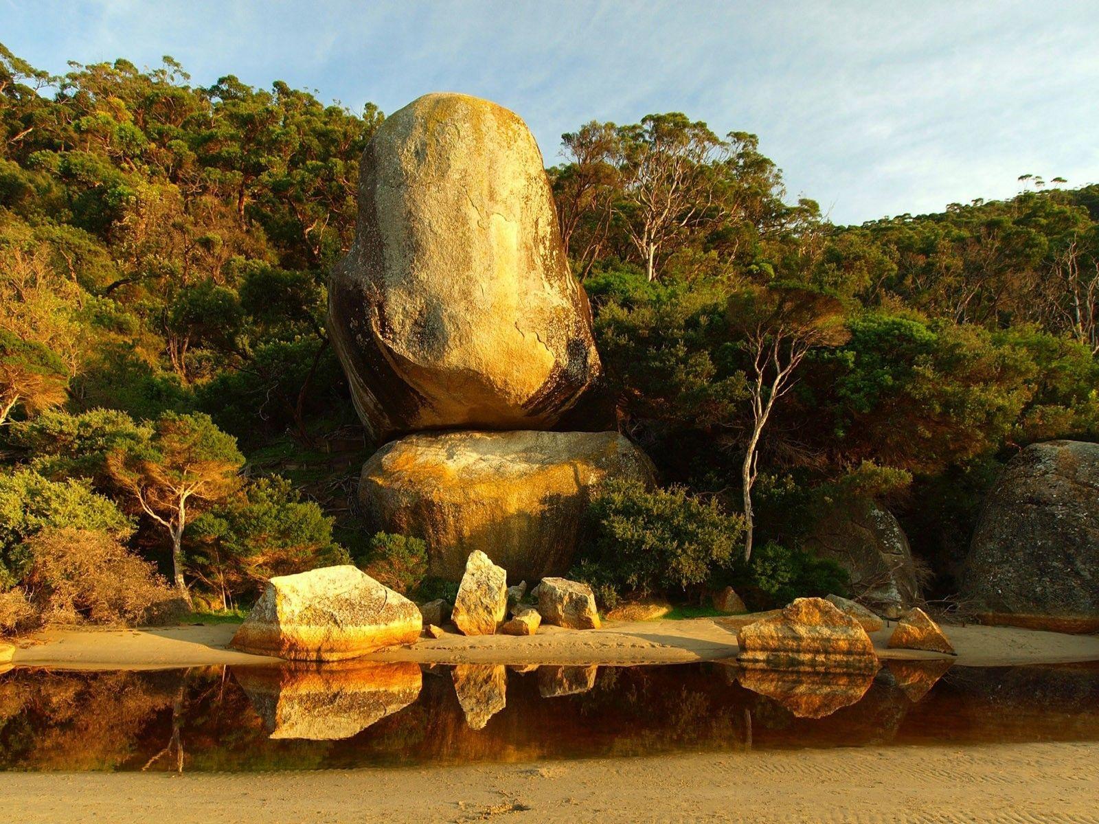 1600x1200 Beaches: Rocks Large Tree Beach Water Exotic HD Wallpaper for HD 16