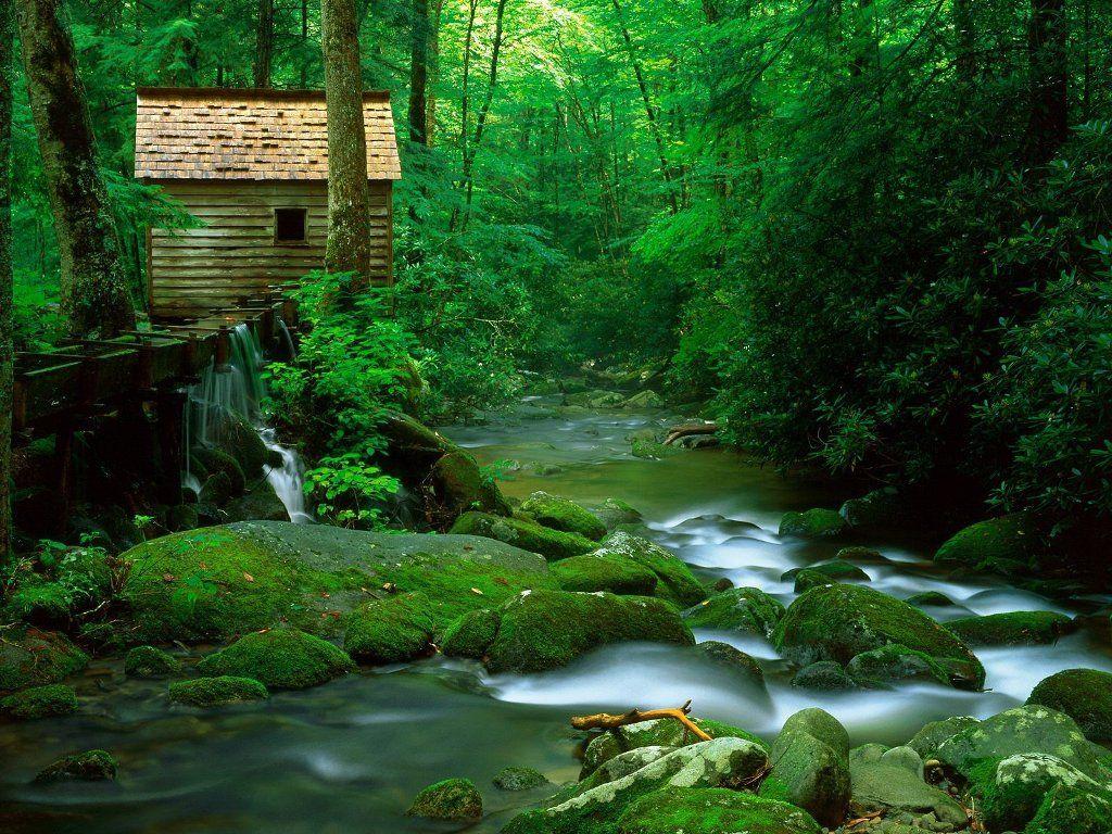 1024x768 Most Exotic River HD Wallpaper (Part 5)