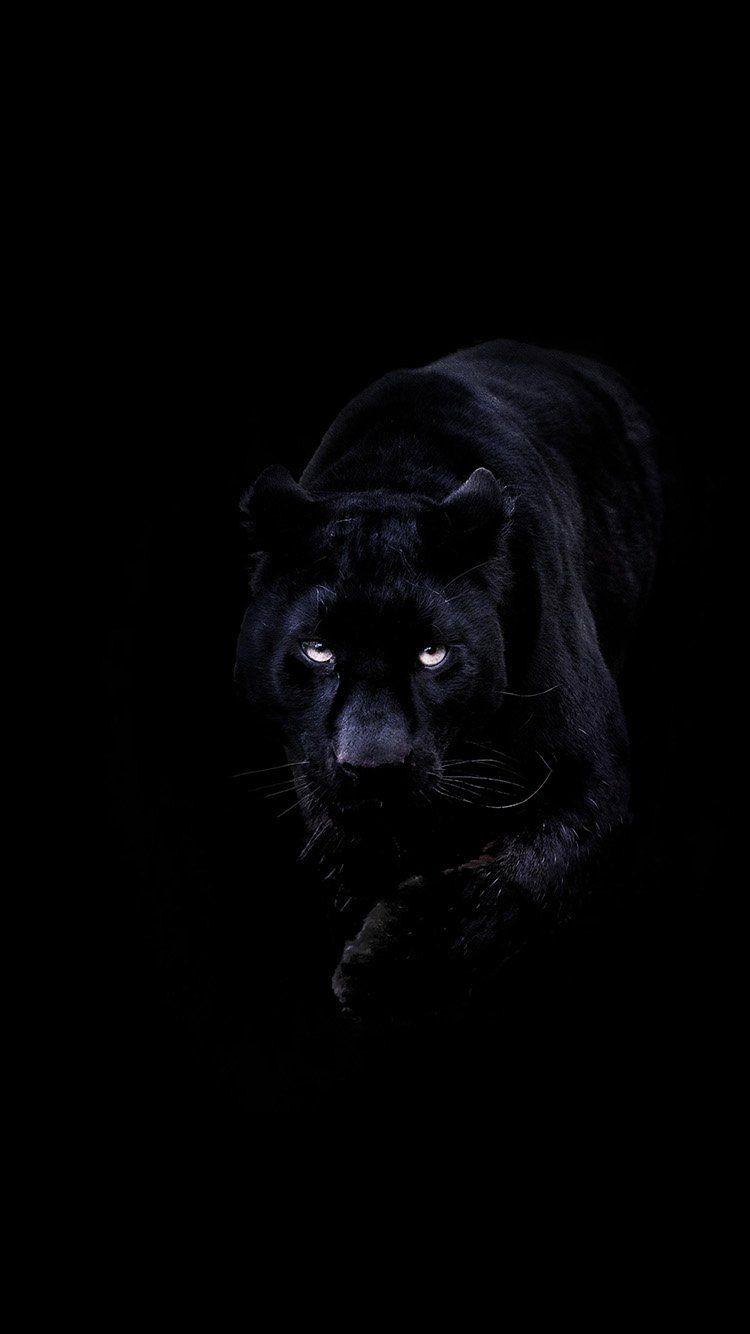 750x1334 Dark Black Wallpaper