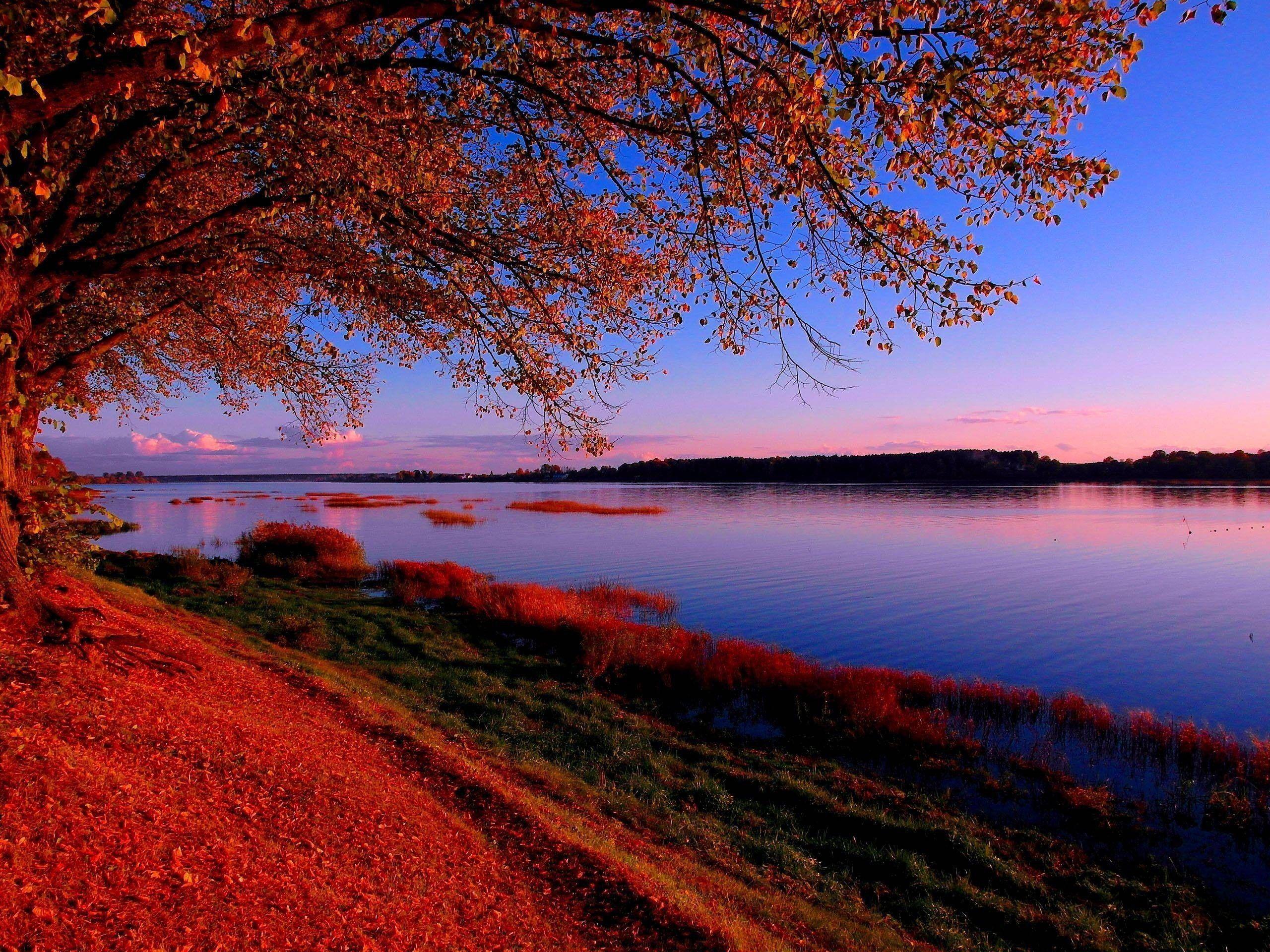 Business opportunities in Latvia