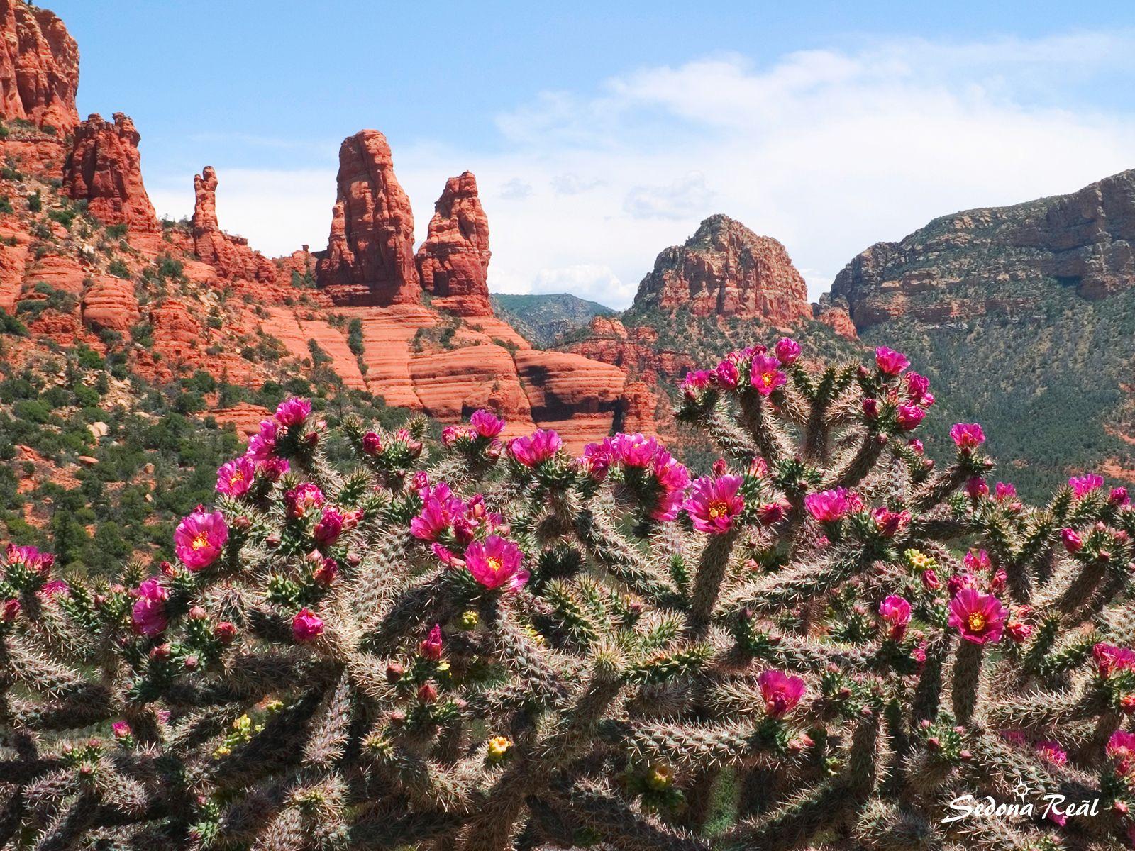 Sedona Wallpapers - Top Free Sedona Backgrounds - WallpaperAccess