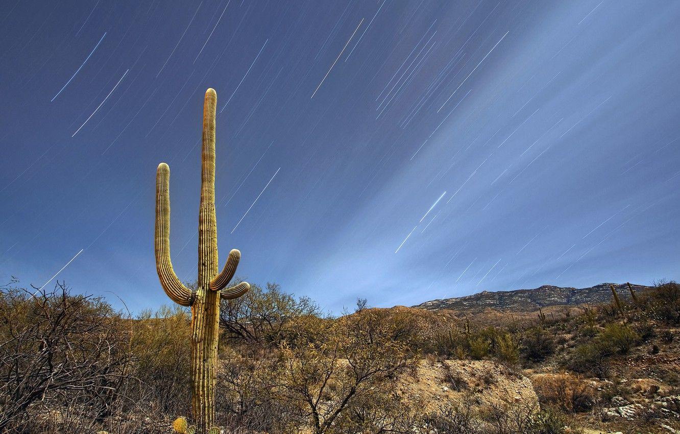 1332x850 Wallpaper the sky, stars, night, hills, desert, cactus, USA, Arizona, Tucson image for desktop, section природа