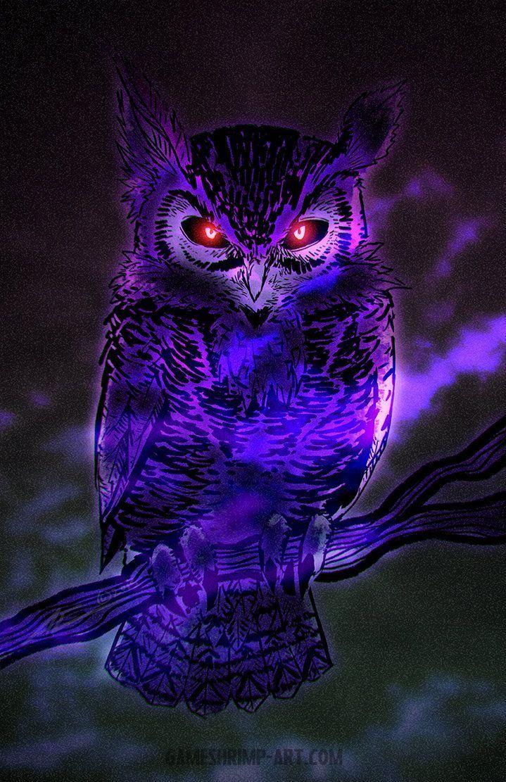 Purple Owl Wallpapers - Top Free Purple ...