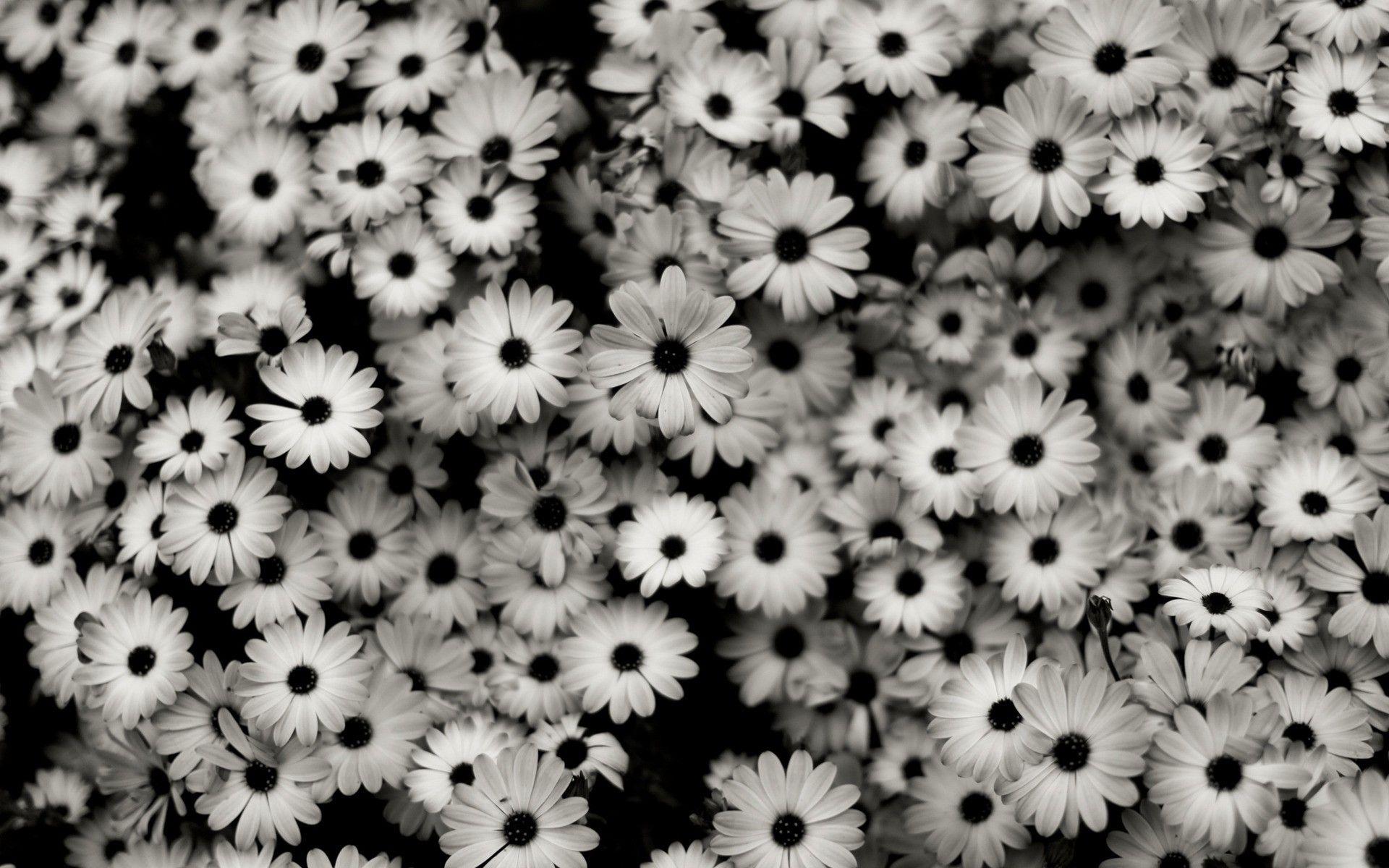 1920x1200 Tumblr Desktop Wallpaper