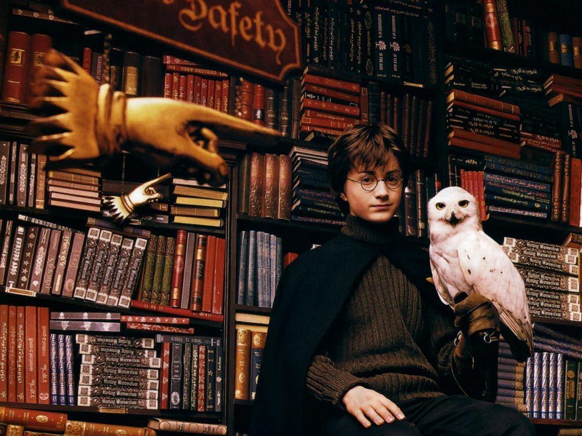 1152x864 Harry Potter James Potter Wallpaper