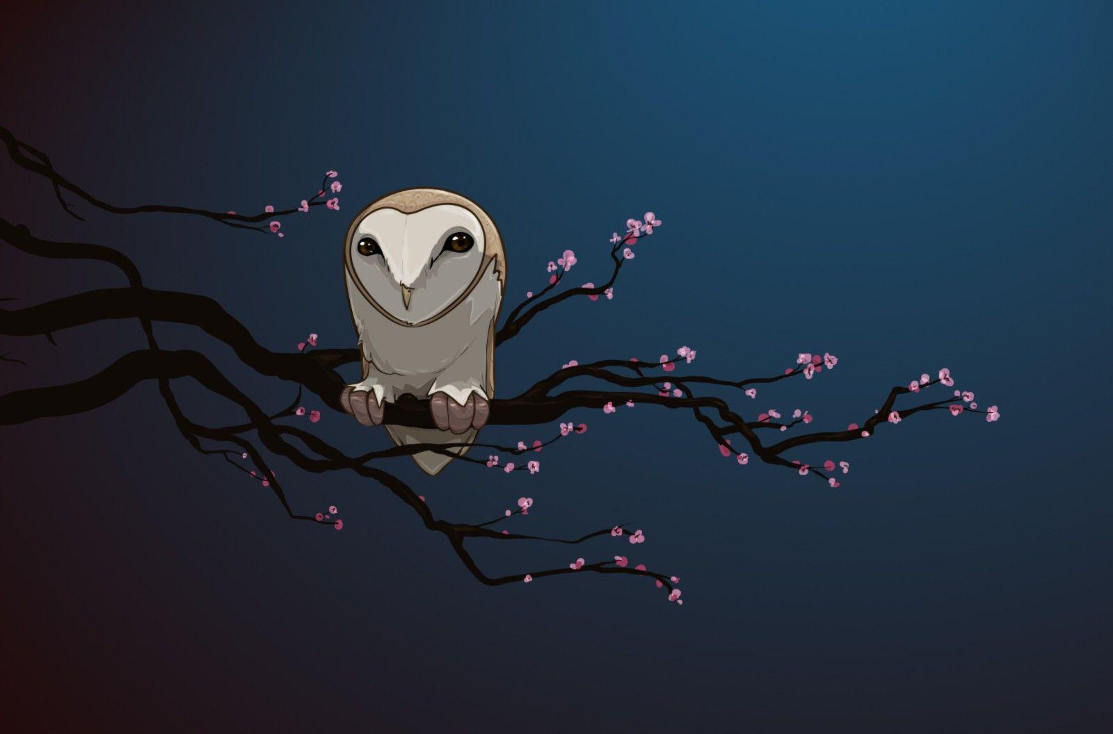 Night Owl Wallpapers - Top Free Night Owl Backgrounds - WallpaperAccess