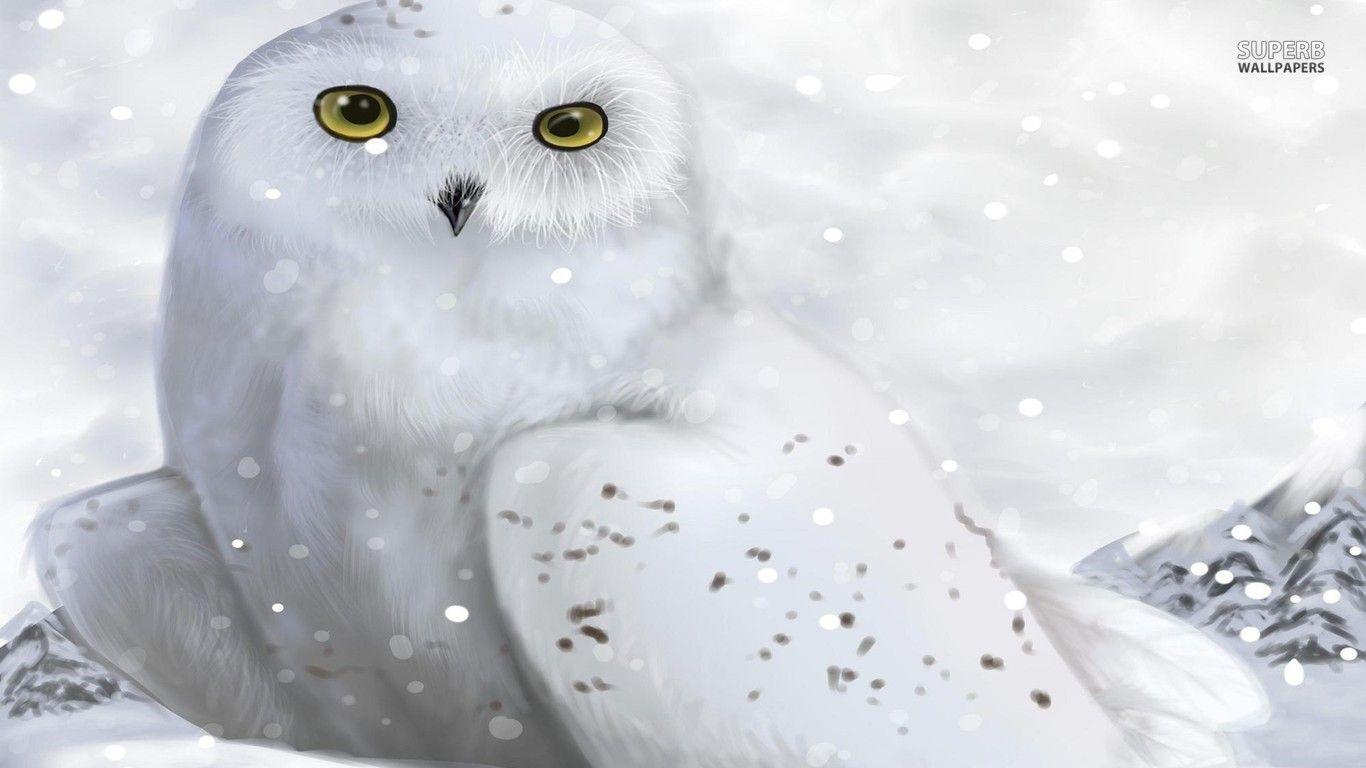 1366x768 Free download white owl wallpaper artistic wallpaper white