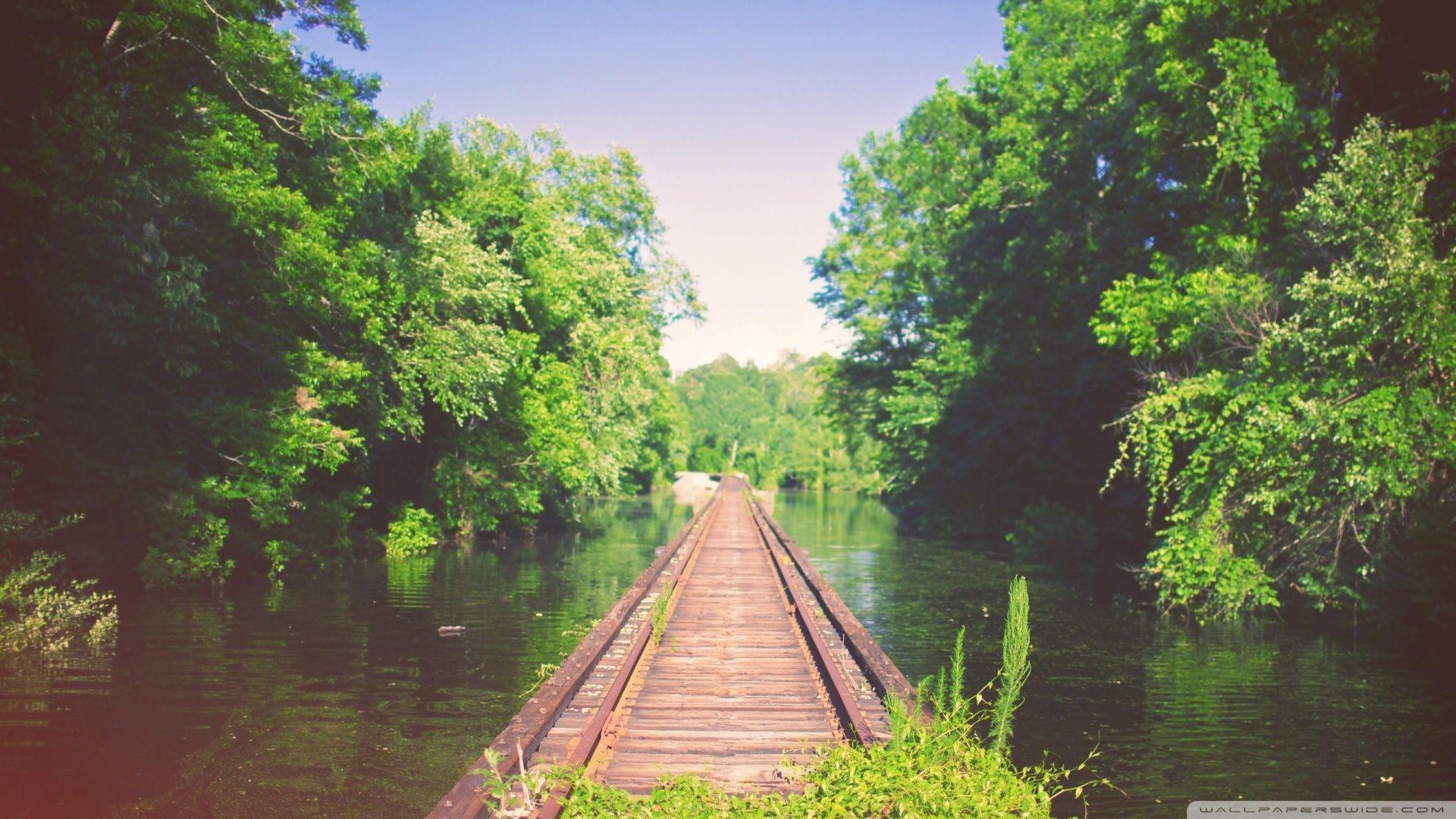 Louisiana Created A Market To Reduce Water Pollution. Will It Actually Work? Picture