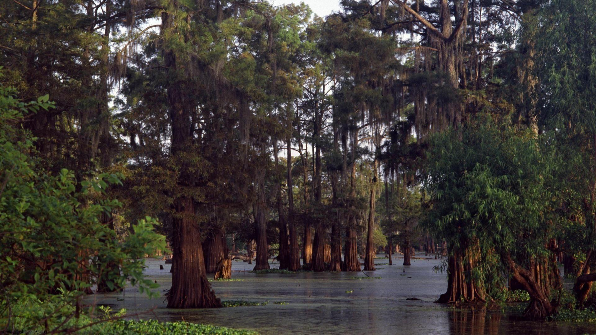 1920x1080 Louisiana Wallpaper