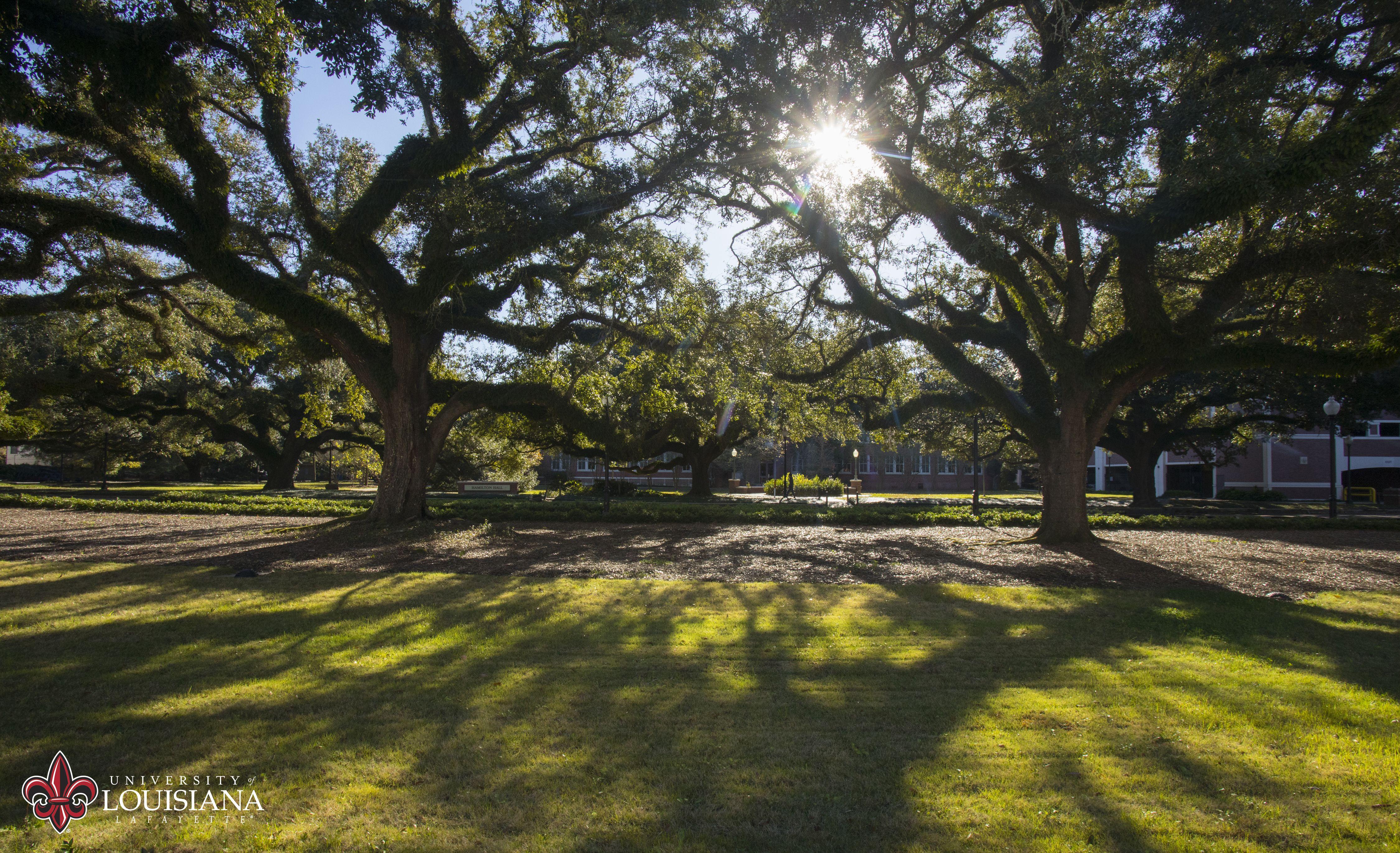 Louisiana Wallpapers - Top Free Louisiana Backgrounds - WallpaperAccess
