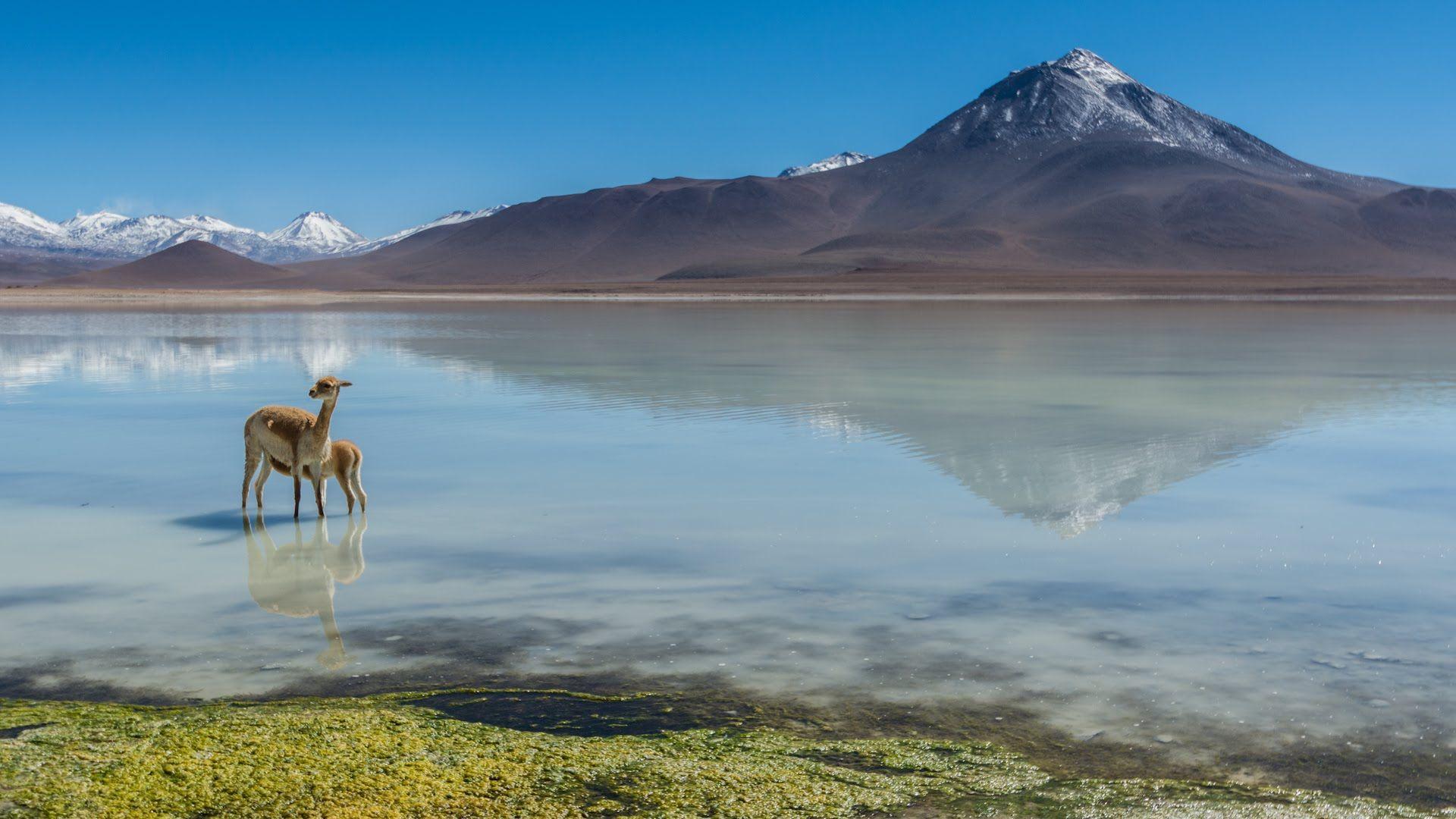 1920x1080 Salt Lake In Chile 1600x1200 Resolution HD 4k