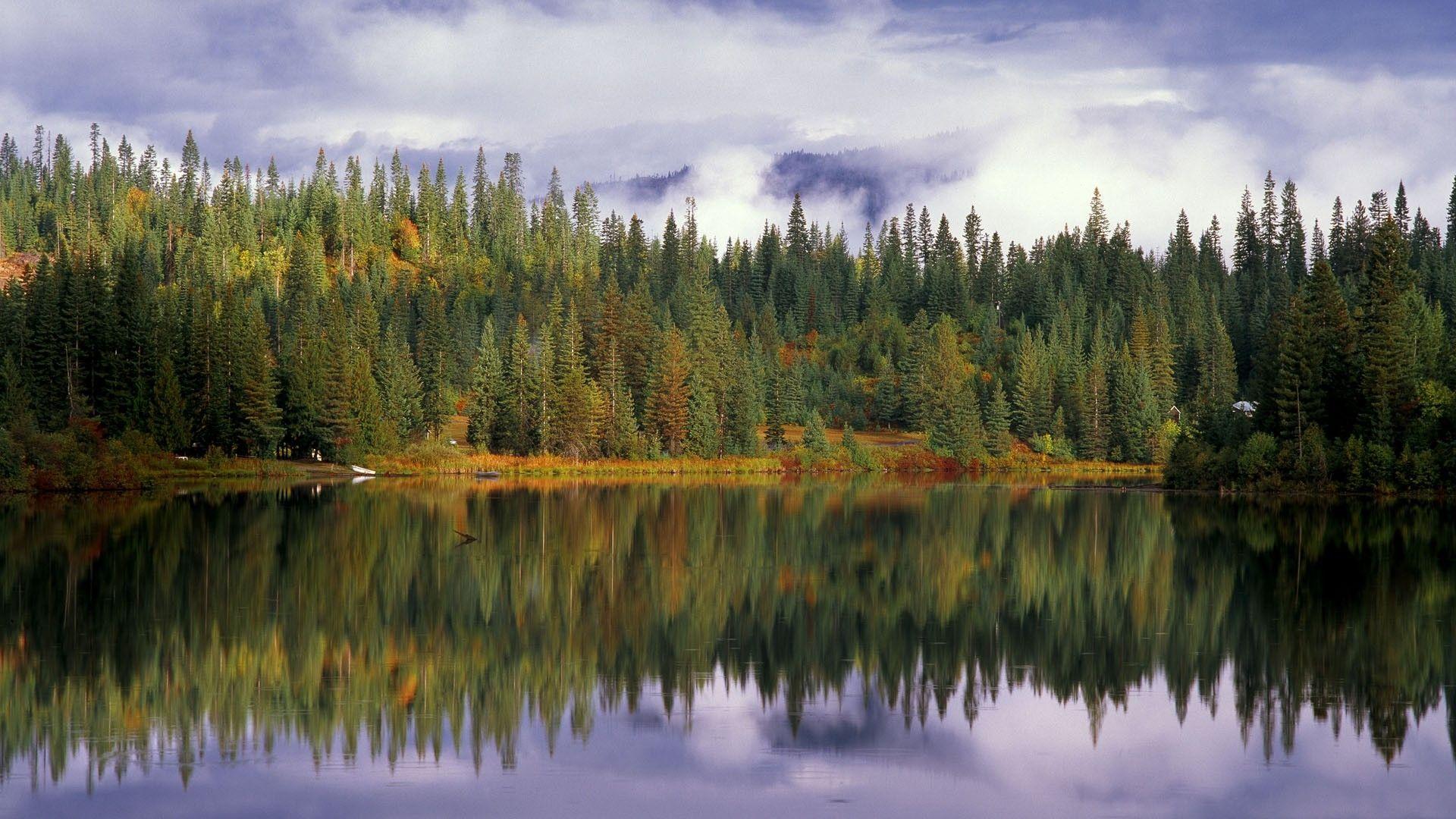 1920x1080 forest idaho national reservoir elk 1920x1080 wallpaper High