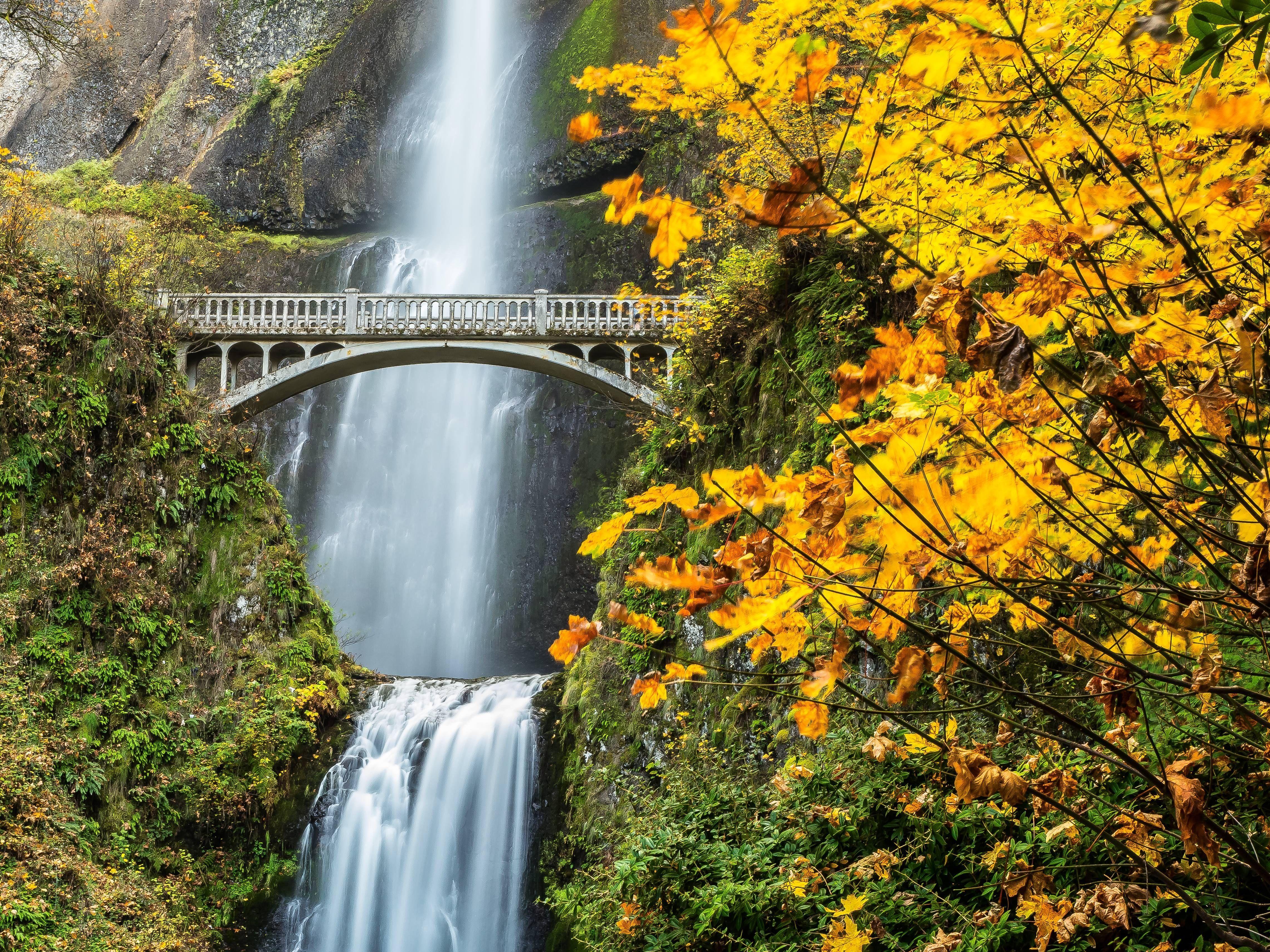 4561x3420 Oregon Fall Wallpaper