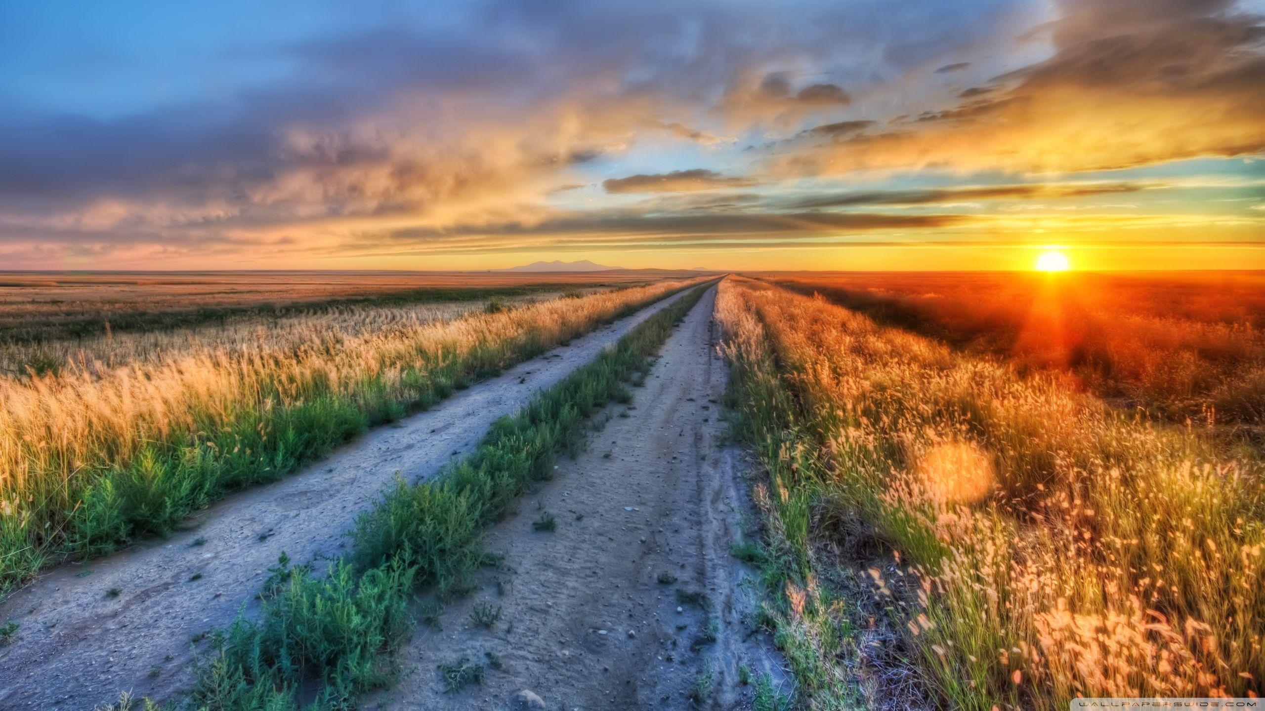 2560x1440 Long Road In Montana ❤ 4K HD Desktop Wallpaper for 4K Ultra
