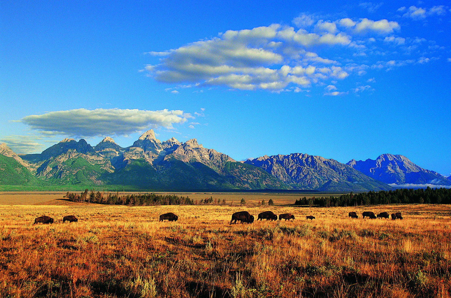 Sunset Grand Teton National Park Wyoming Usa Hd Wallpaper  Eyecandy for  your XFCEDesktop  xfcelookorg