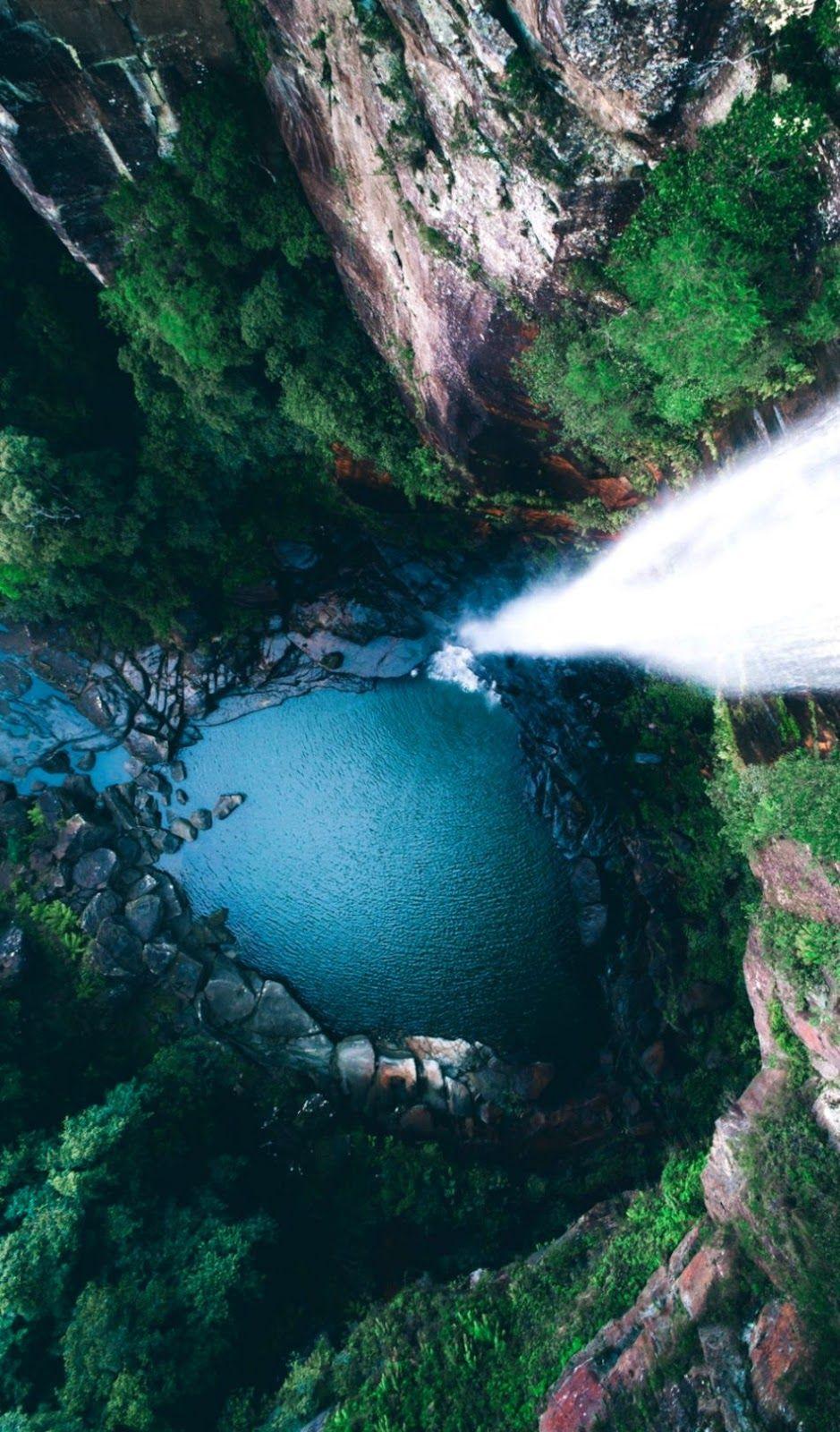 939x1600 Rain Forest Wallpaper