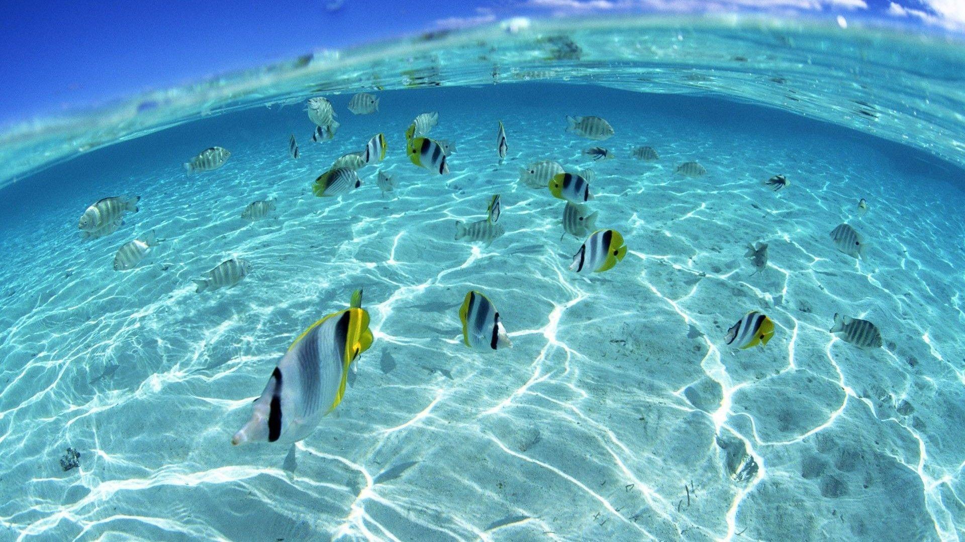 Sea Computer Wallpapers - Top Free Sea Computer Backgrounds ...
