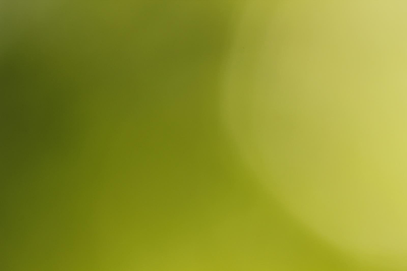 1600x1067 Just Green Tones For Website Background And Wallpaper F4