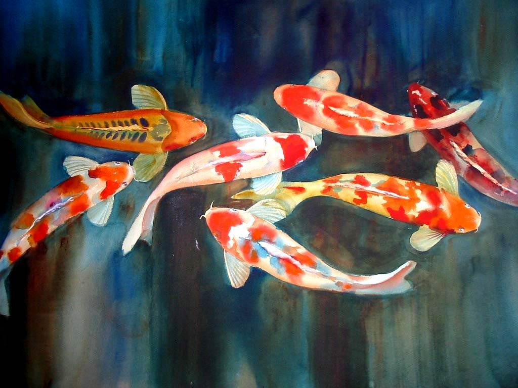 1024x768 Koi Wallpaper