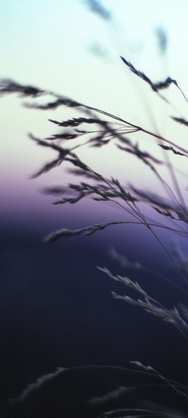 720x1600 Download HD wallpaper 720x1600 pixels