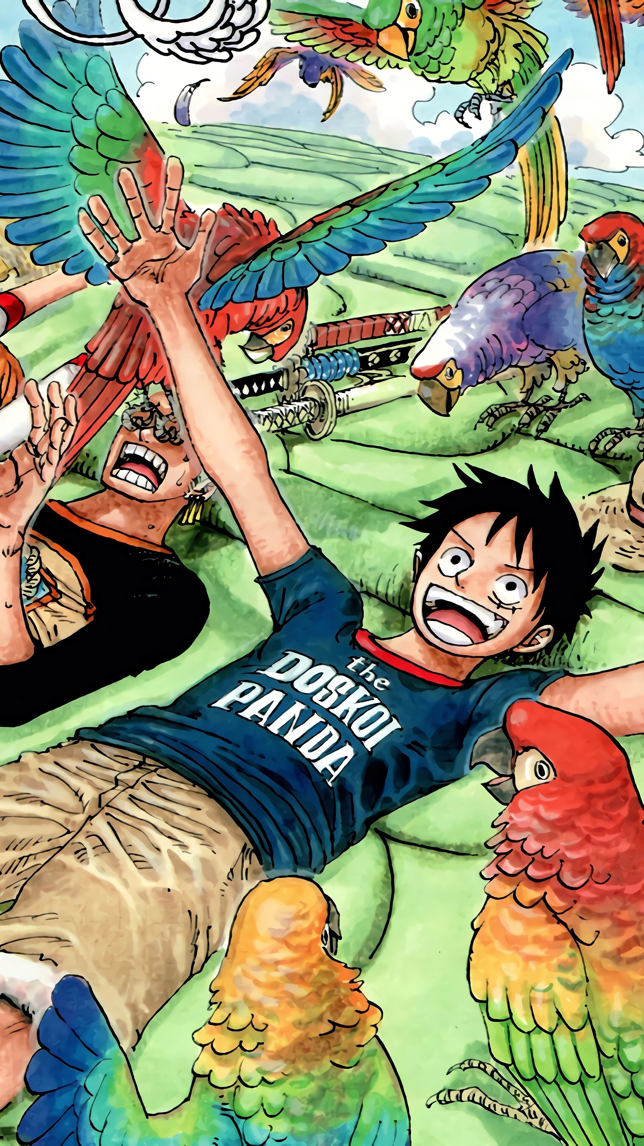 2160x3840 Straw Hat Mobile 4k Wallpaper