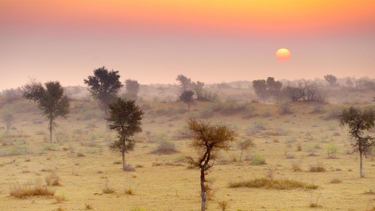 1280x720 Bing Wallpaper Archive