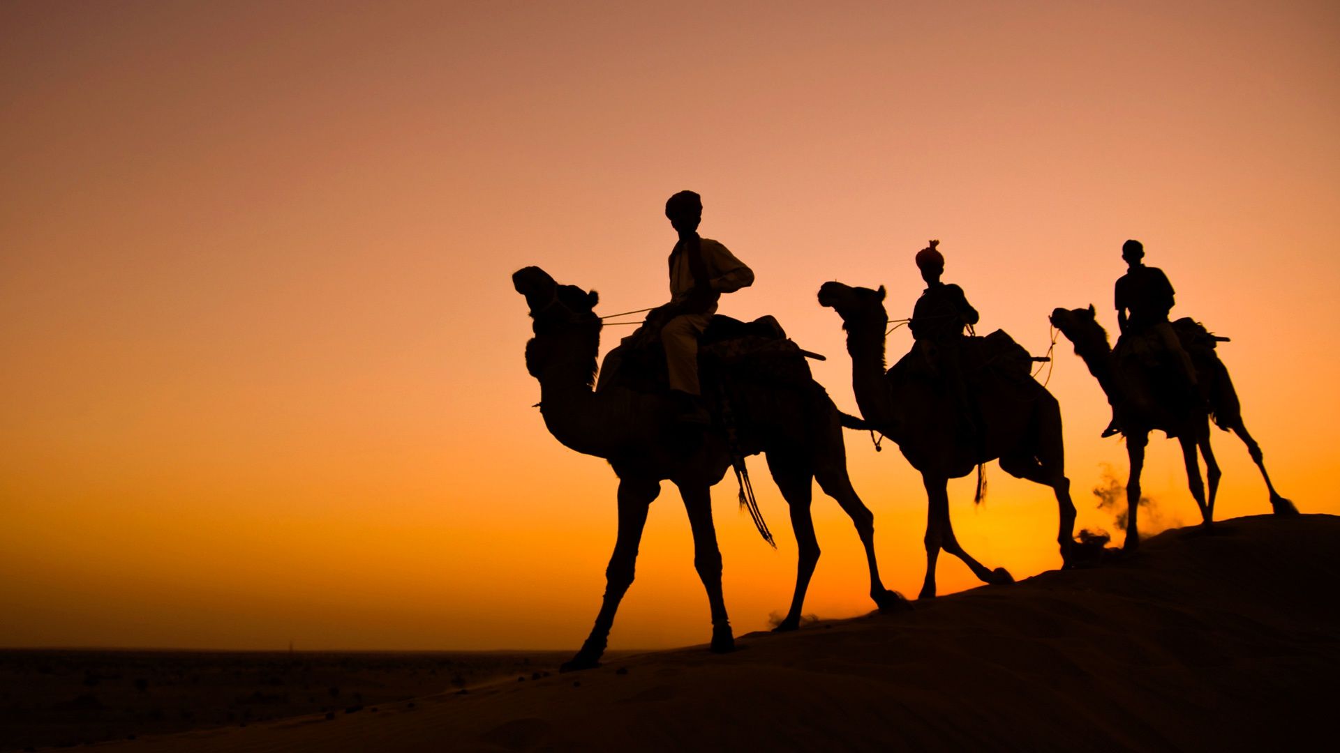 1920x1080 Wallpaper India, silhouette, camel