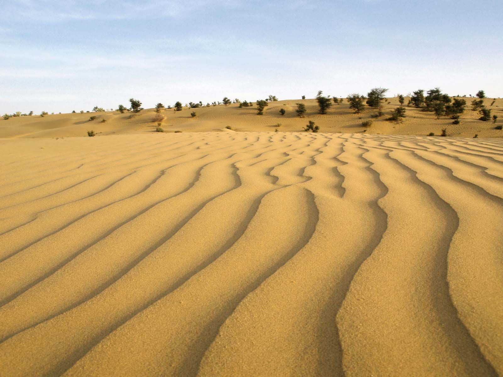 1600x1200 Thar Desert. Map, Climate, Vegetation