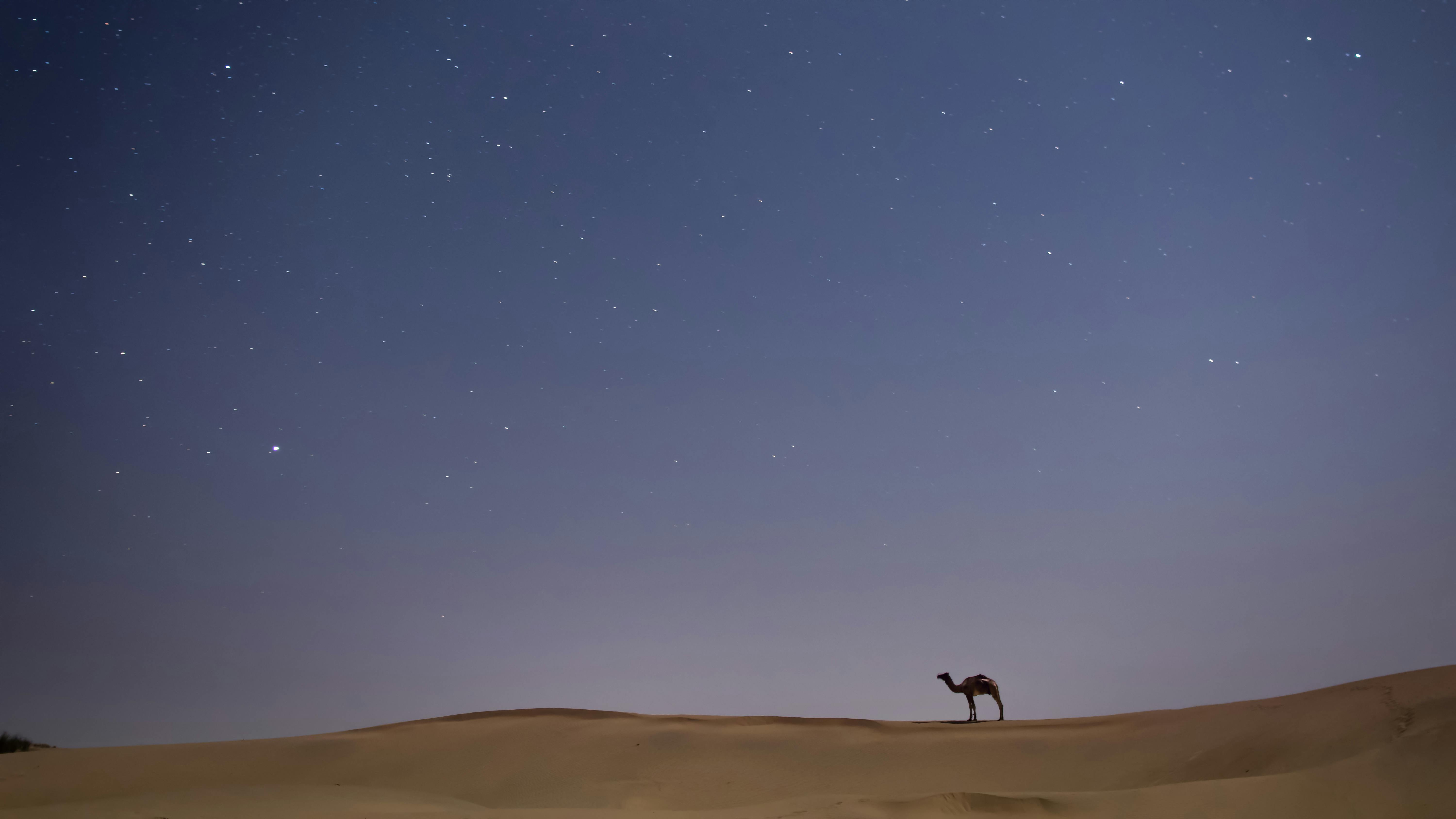 6000x3375 Thar Desert & HD Image