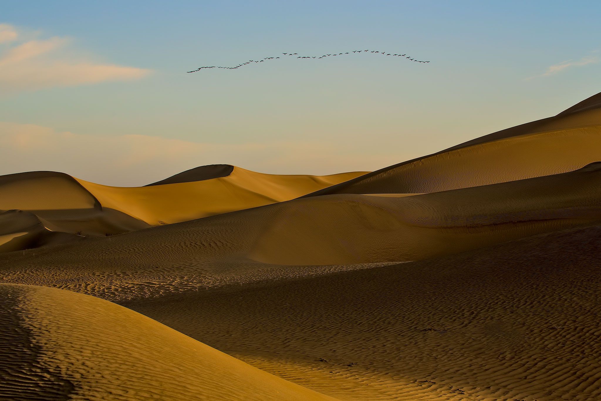2048x1365 Download Nature Desert HD Wallpaper
