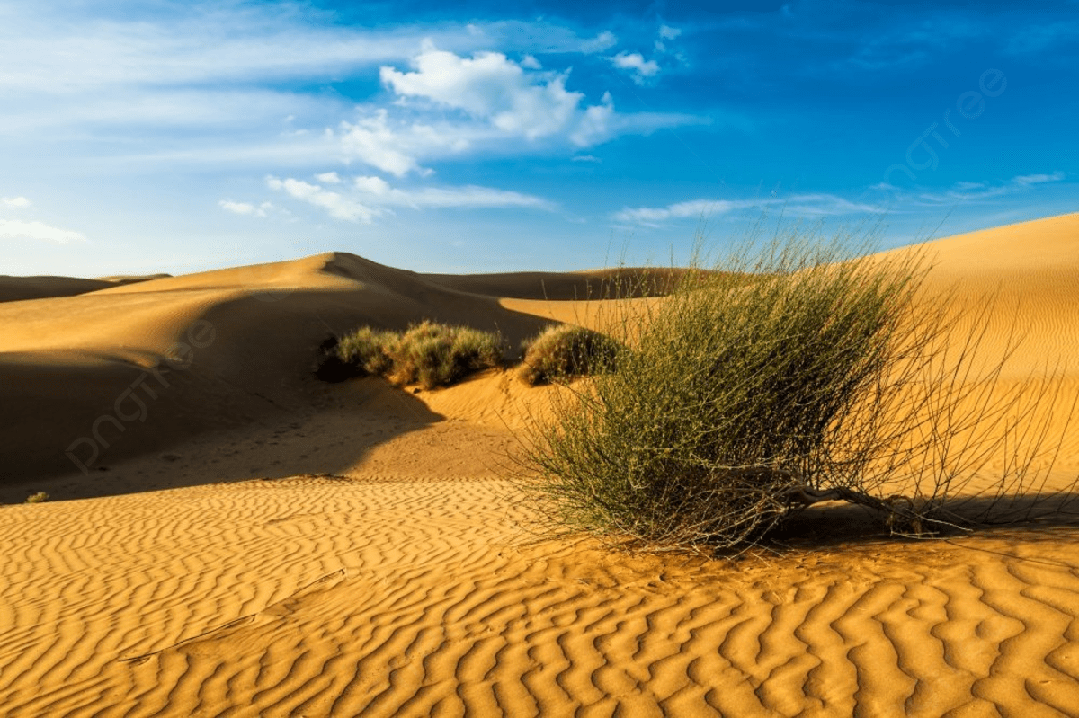 1200x799 Sam Sand Dunes Of Thar Desert Under
