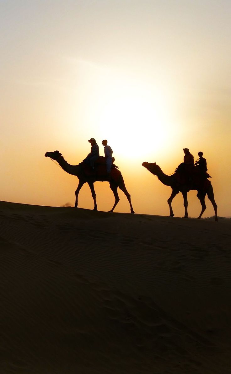 736x1191 Overnight camel safari Jaisalmer India