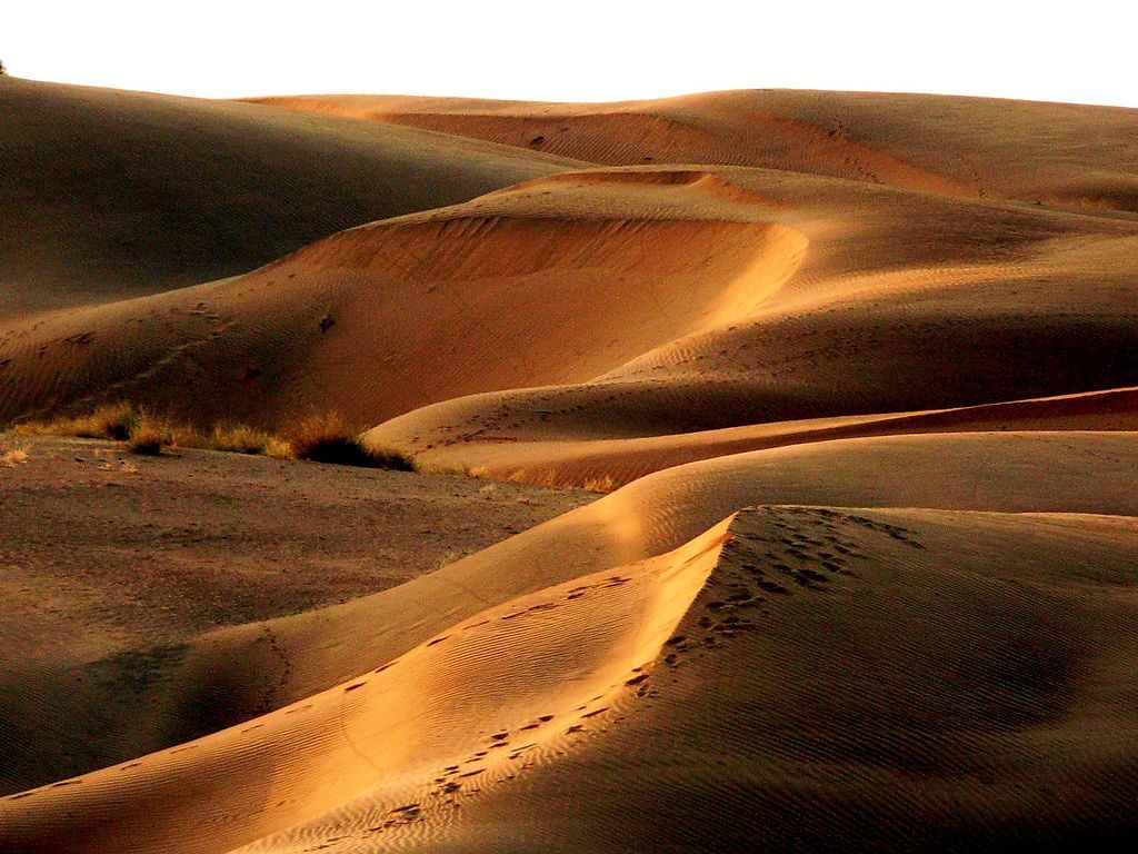 1024x768 Thar Desert Wallpaper