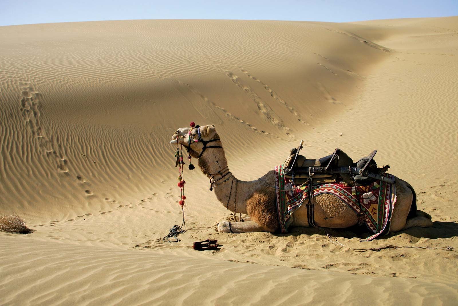1600x1067 Thar Desert. Map, Climate, Vegetation